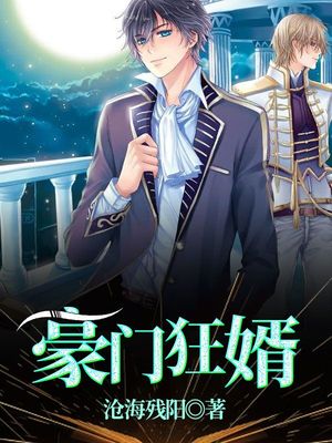 豪门狂婿章节列表